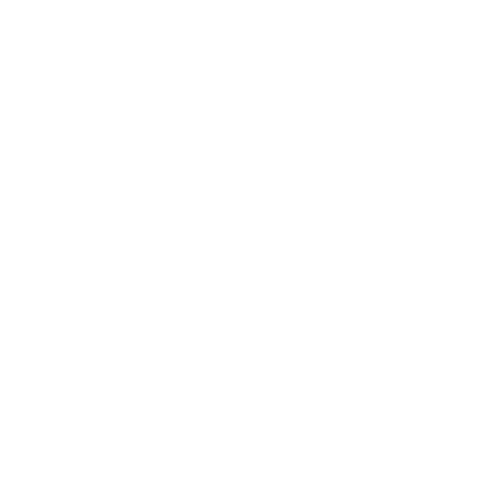 Imam Aslan