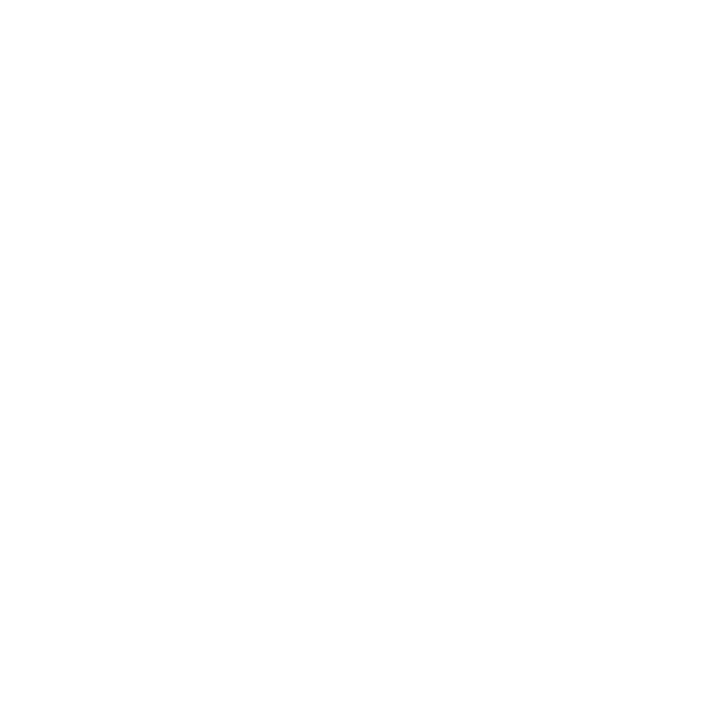 Nilüfer Tost Evi