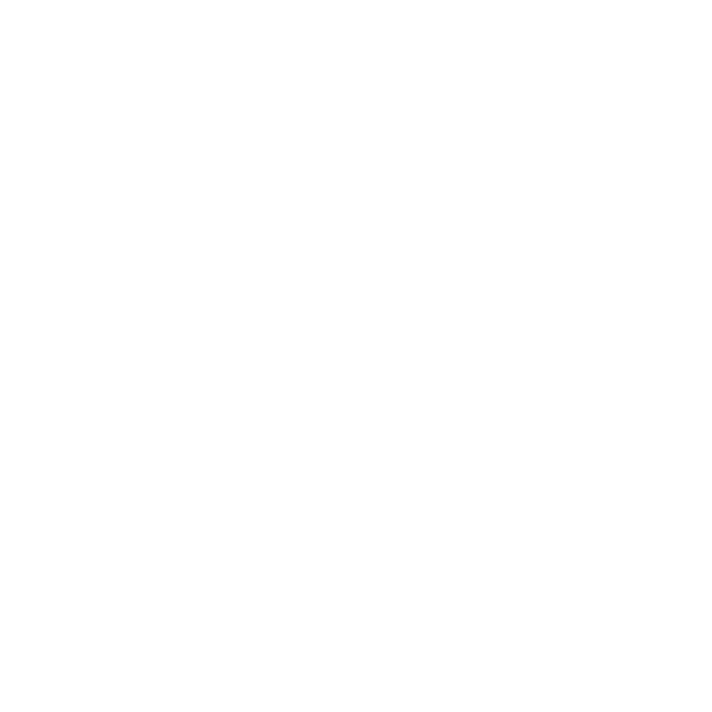 Pilav Aşkı