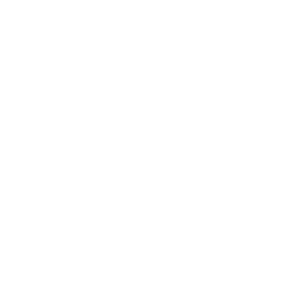 Tek Kebap